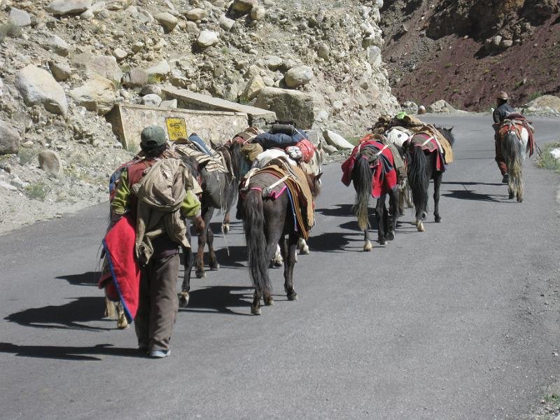 544 Gya Valley 13-08-2009.jpg